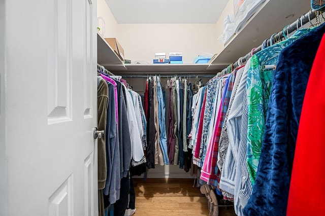 533 Mckaig Rd, Murfreesboro, TN 37127 - walk in closet with wood finished floors