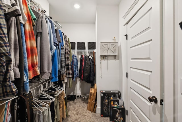spacious closet with carpet flooring