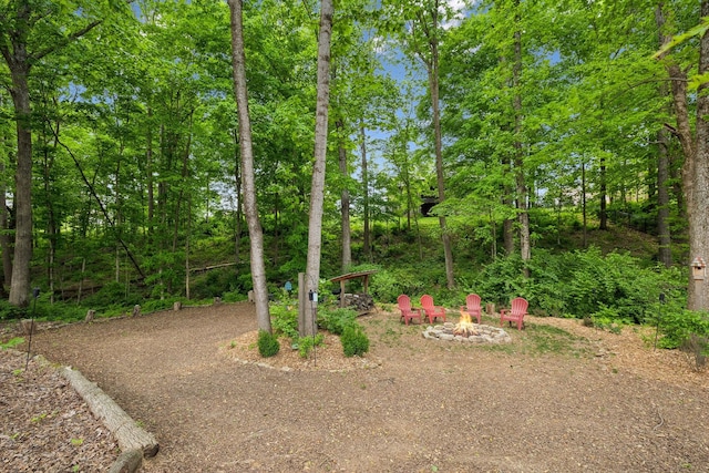 view of yard featuring an outdoor fire pit