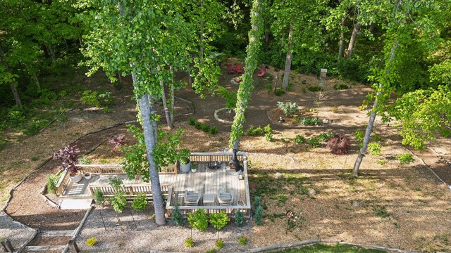 view of yard with a deck