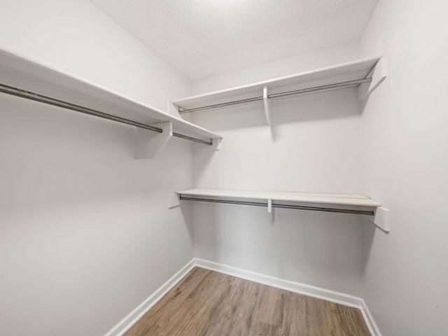 spacious closet featuring light wood-style flooring