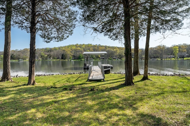 2025 Sanford Dr, Mount Juliet, TN 37122 - view of yard with a water view, a view of trees, and a dock