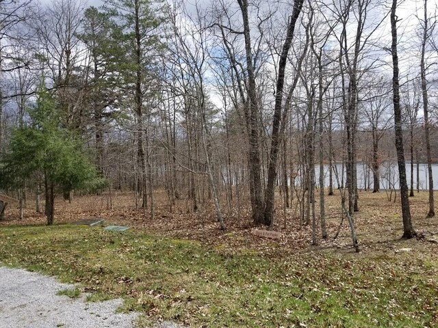 0 Hemlock Ln, Spencer, TN 38585