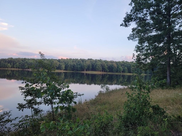 0 Hemlock Ln, Spencer, TN 38585