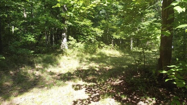 0 Hemlock Ln, Spencer, TN 38585