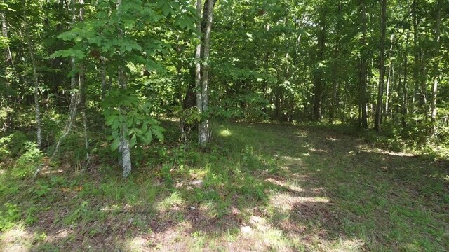 0 Hemlock Ln, Spencer, TN 38585