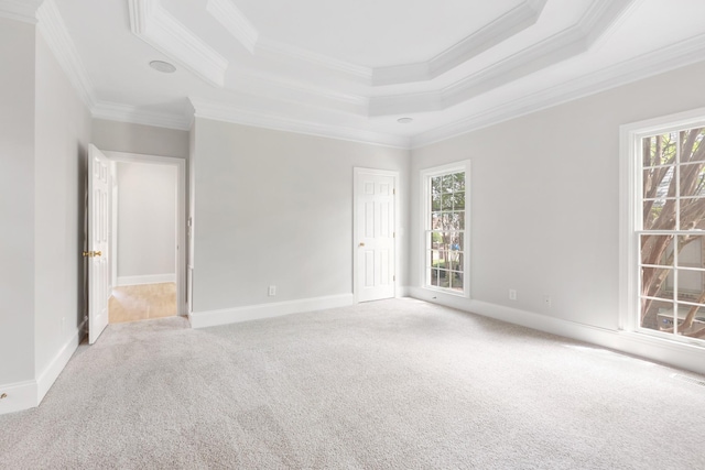 carpeted empty room with baseboards, ornamental molding, and a tray ceiling