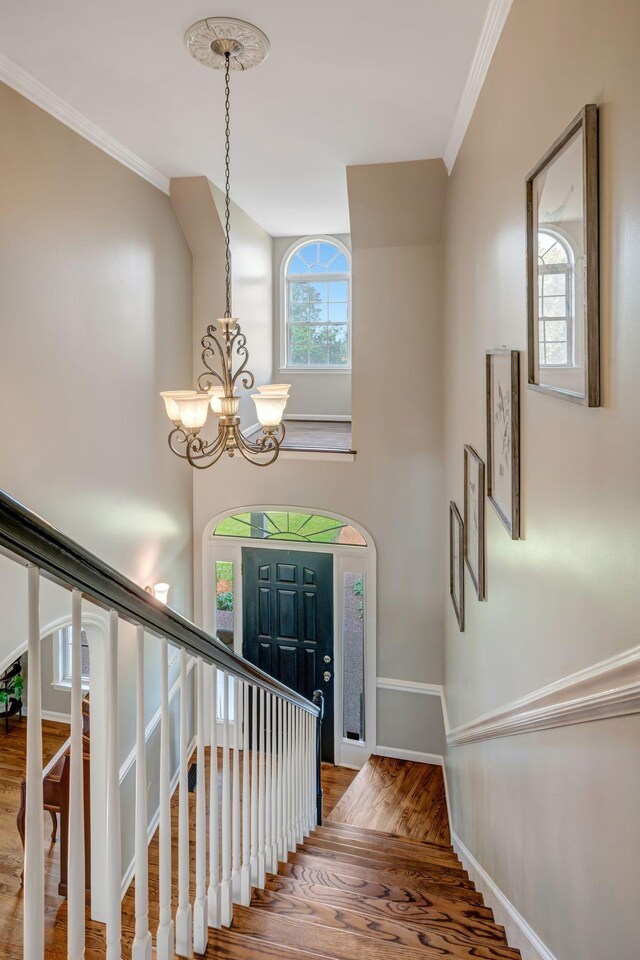 stairs with an inviting chandelier, ornamental molding, baseboards, and wood finished floors