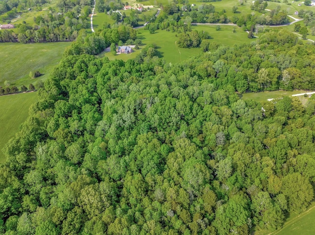 aerial view featuring a view of trees