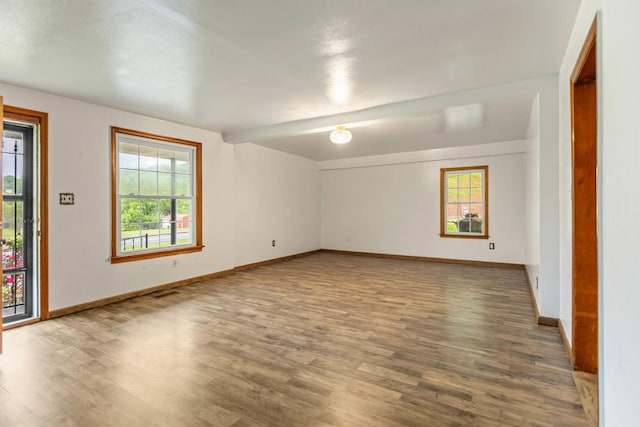 702 1st Ave, Mount Pleasant, TN 38474 - unfurnished room with a healthy amount of sunlight and wood finished floors