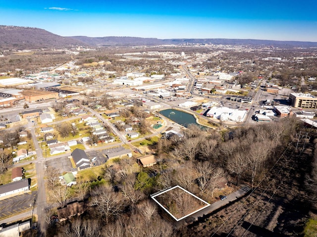 301 Dempsey Ln, Rossville, GA 30741