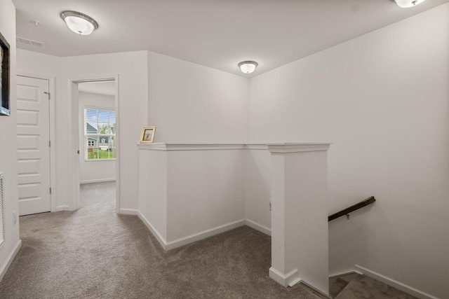 spacious closet featuring visible vents and carpet