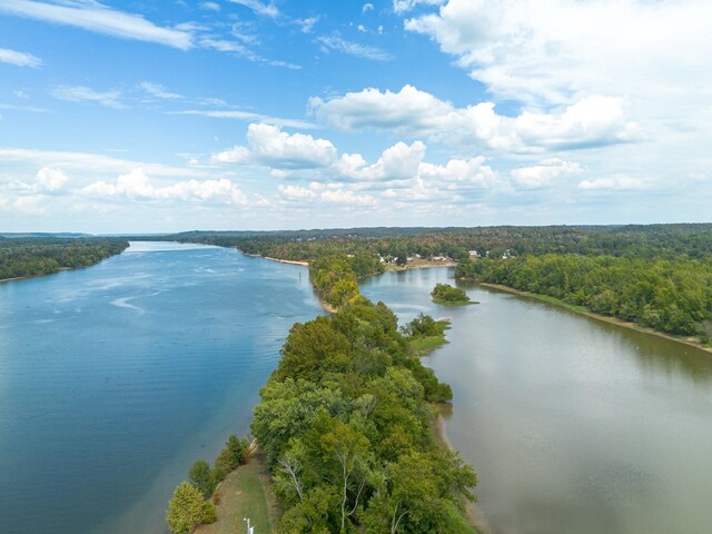 4428 Deer Creek Rd, Linden, TN 37096 - drone / aerial view with a water view and a wooded view