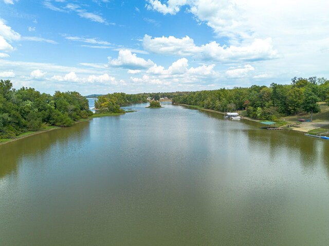 4428 Deer Creek Rd, Linden, TN 37096 - property view of water with a wooded view
