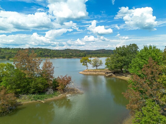 4428 Deer Creek Rd, Linden, TN 37096 - view of water feature with a wooded view
