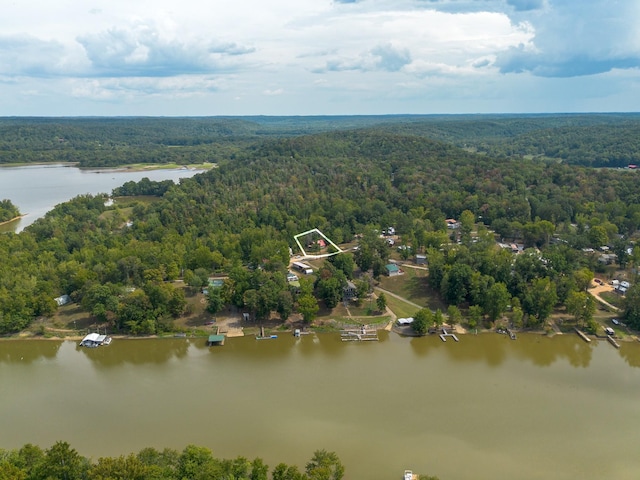 4428 Deer Creek Rd, Linden, TN 37096 - aerial view featuring a water view and a view of trees