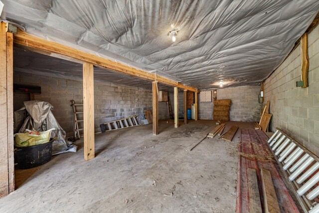 4428 Deer Creek Rd, Linden, TN 37096 - unfinished basement with concrete block wall