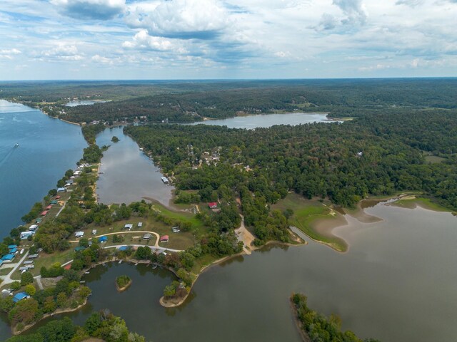 4428 Deer Creek Rd, Linden, TN 37096 - drone / aerial view with a water view and a forest view