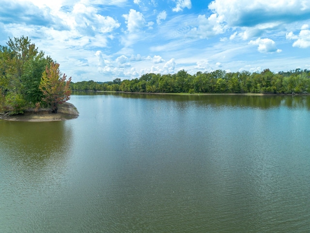 4428 Deer Creek Rd, Linden, TN 37096 - property view of water featuring a wooded view