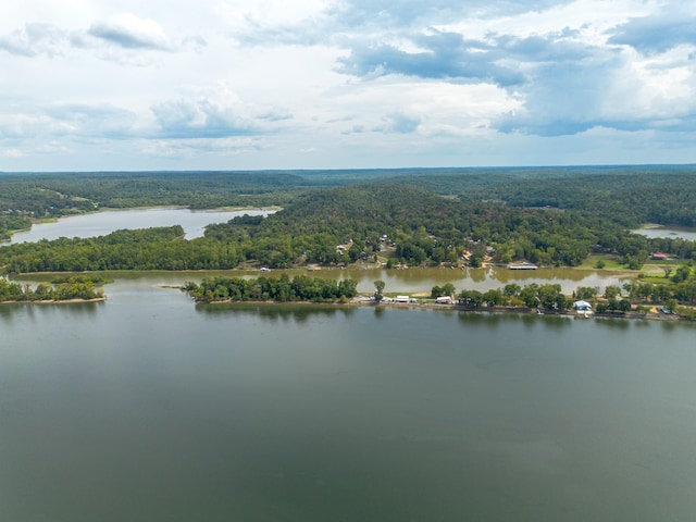 4428 Deer Creek Rd, Linden, TN 37096 - birds eye view of property featuring a water view and a view of trees