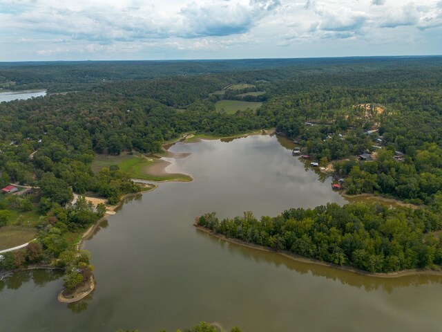 4428 Deer Creek Rd, Linden, TN 37096 - birds eye view of property with a water view and a wooded view