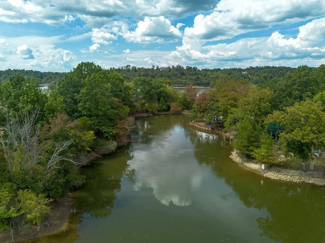 4428 Deer Creek Rd, Linden, TN 37096 - aerial view featuring a forest view