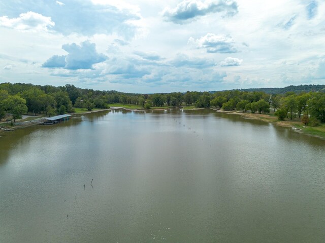 4428 Deer Creek Rd, Linden, TN 37096 - property view of water with a wooded view
