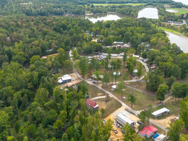 4428 Deer Creek Rd, Linden, TN 37096 - drone / aerial view with a water view and a forest view
