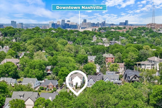 bird's eye view