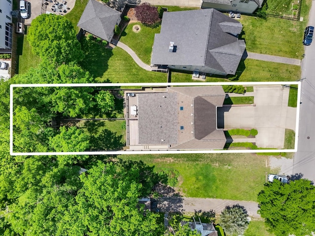 drone / aerial view