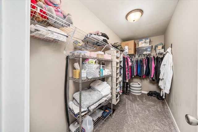 walk in closet featuring carpet flooring