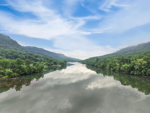 21808 River Canyon Rd, Chattanooga, TN 37405 - photo 29