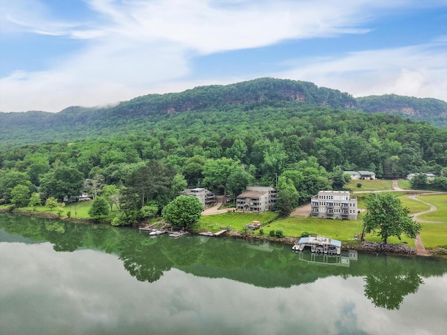 21808 River Canyon Rd, Chattanooga, TN 37405 - photo 28