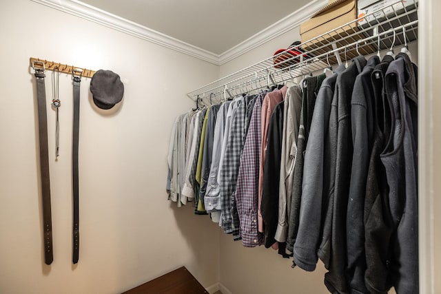 view of walk in closet