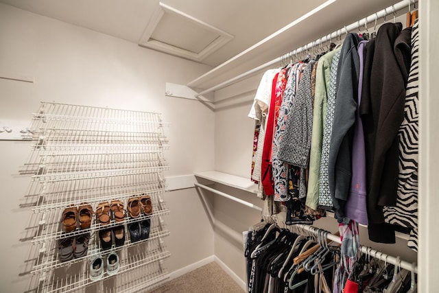 spacious closet with carpet floors and attic access