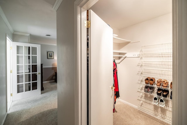 spacious closet with carpet floors