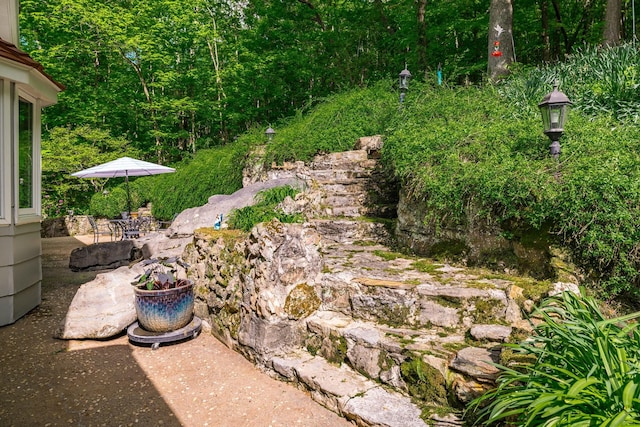view of yard featuring a patio area