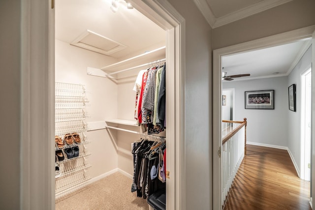 walk in closet featuring wood finished floors and attic access
