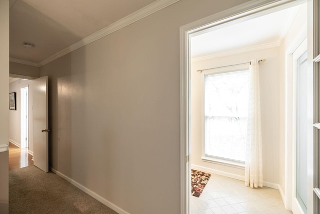 corridor with crown molding and baseboards