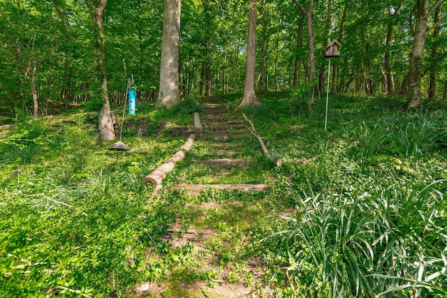 view of nature