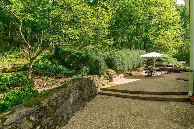 view of yard with a patio