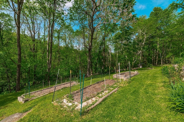 view of yard with a garden