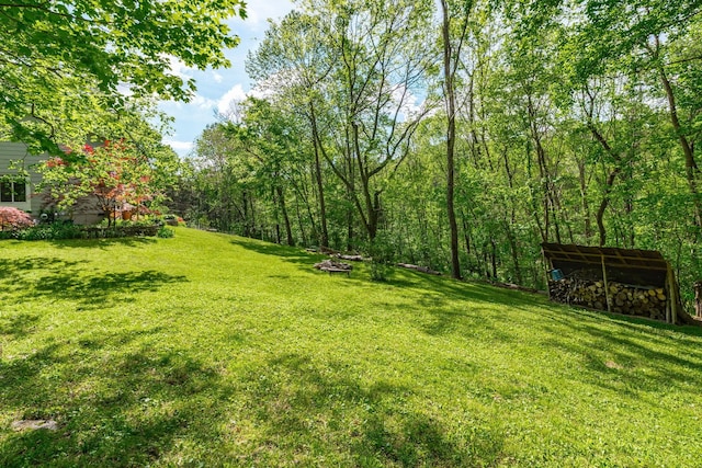view of yard