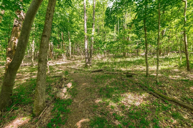 view of nature with a forest view