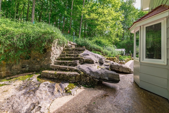 view of yard with stairs
