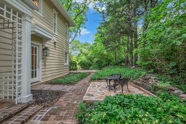 view of yard with a patio area