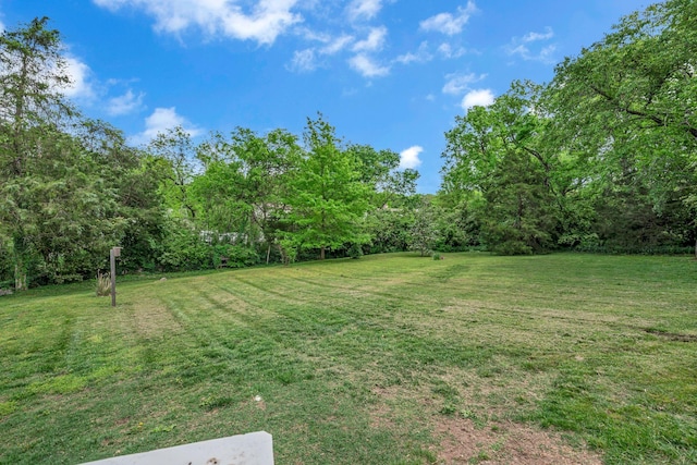 view of yard with a wooded view