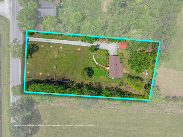 1759 Summertown Hwy, Hohenwald, TN 38462 - bird's eye view