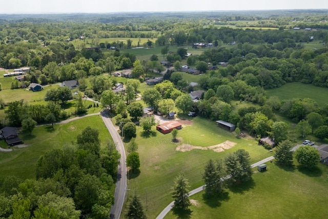 drone / aerial view
