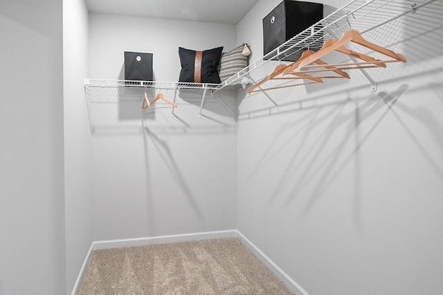 walk in closet with carpet
